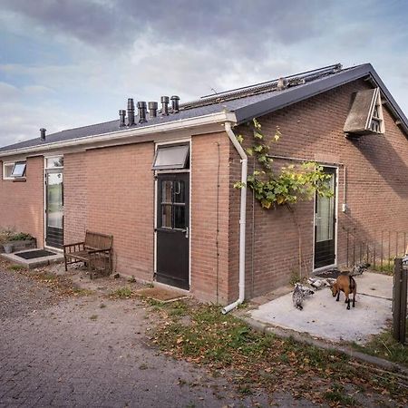 De Kaasmakerij - Ruim Vakantiehuisje Op Huize Blokland Hem 外观 照片