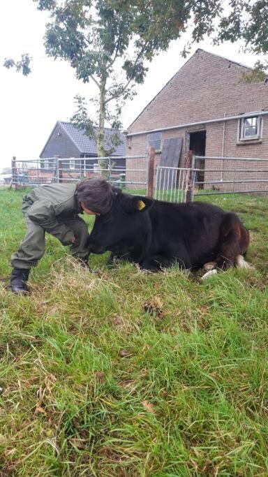 De Kaasmakerij - Ruim Vakantiehuisje Op Huize Blokland Hem 外观 照片
