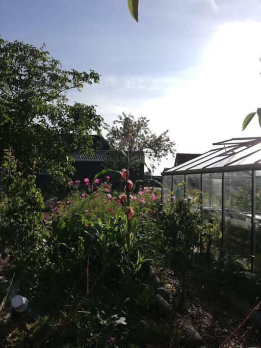 De Kaasmakerij - Ruim Vakantiehuisje Op Huize Blokland Hem 外观 照片